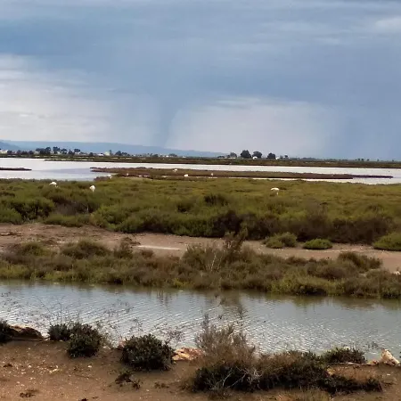 Gelum Delta Del Ebro