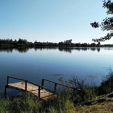 Gelum Delta Del Ebro Sant Jaume d'Enveja