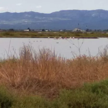 Gelum Delta Del Ebro