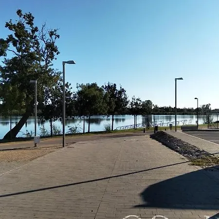 Gelum Delta Del Ebro